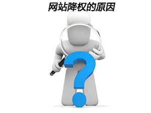 怎么找出網(wǎng)站中導(dǎo)致降權(quán)的內(nèi)容
